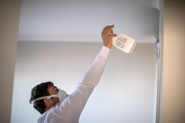 Chauvin, LA Mold Removal Company