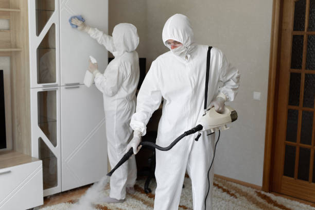 Best Certified Mold Removal  in Chauvin, LA